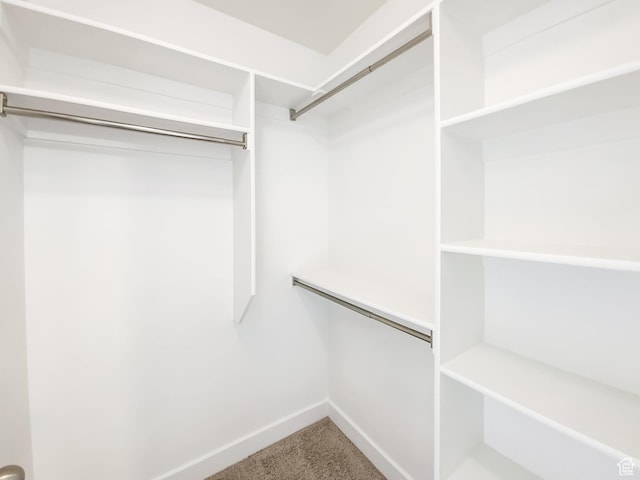 1786 E Juniper Dr, Eagle Mountain, UT 84005 - spacious closet with carpet floors