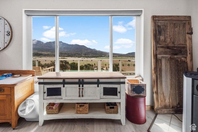706 E Cottontail Rd, Central, UT 84722 - interior space with wood finished floors, a mountain view, and plenty of natural light