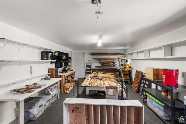 706 E Cottontail Rd, Central, UT 84722 - view of storage