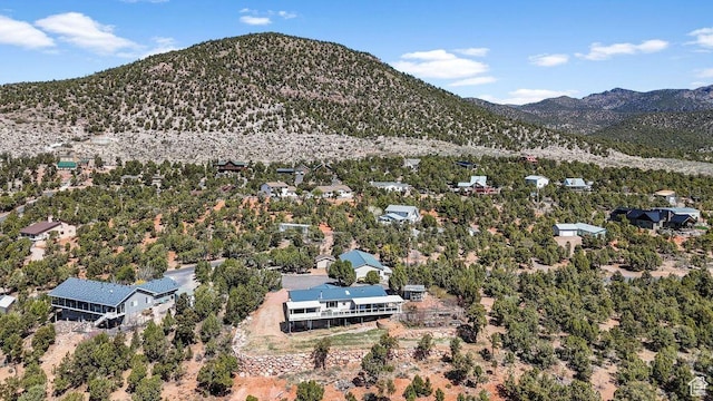 706 E Cottontail Rd, Central, UT 84722 - exterior space