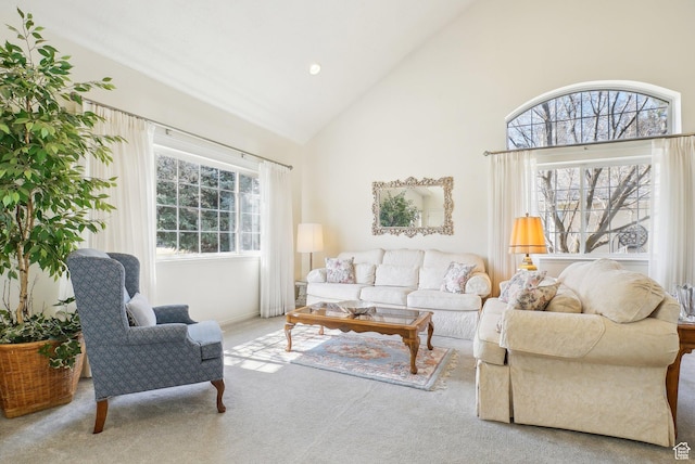 1367 W Settlement Dr, Park City, UT 84098 - carpeted living area with high vaulted ceiling and baseboards