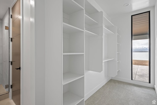 1582 S Wiltshire Ln, Saratoga Springs, UT 84045 - spacious closet featuring carpet flooring