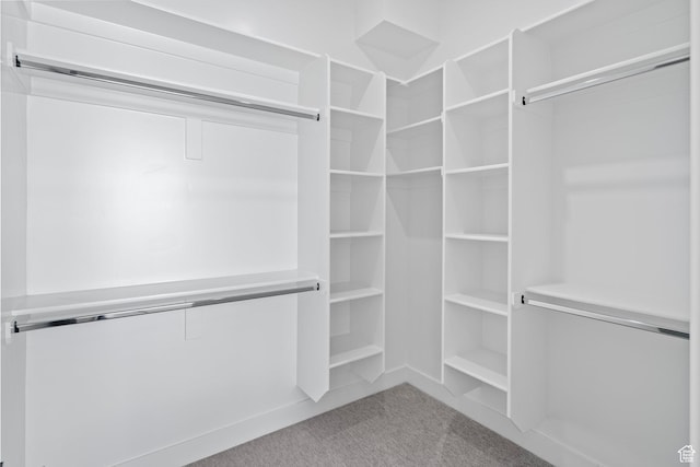 1582 S Wiltshire Ln, Saratoga Springs, UT 84045 - walk in closet featuring carpet
