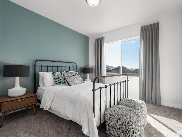 bedroom with carpet floors