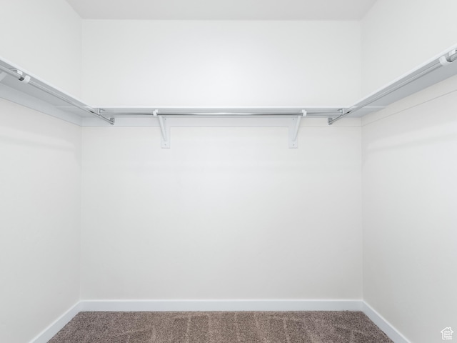 walk in closet with carpet floors