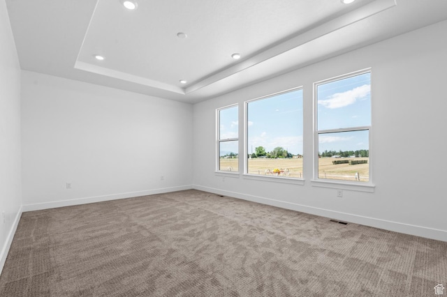 1489 E 820 N Unit 104, Salem, UT 84653 - carpeted empty room featuring recessed lighting and a tray ceiling