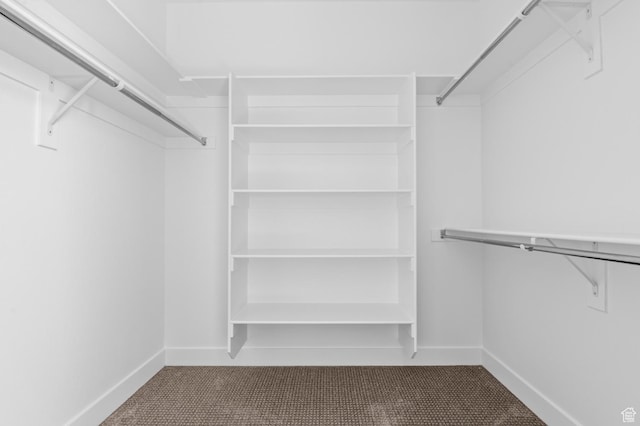 1489 E 820 N Unit 104, Salem, UT 84653 - spacious closet featuring carpet floors