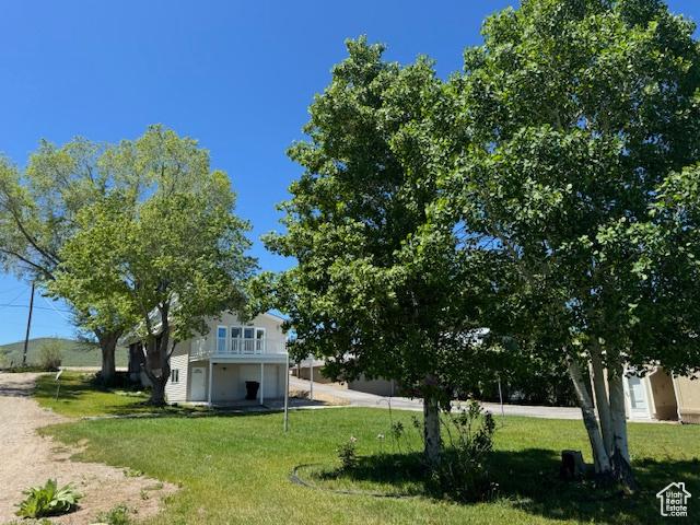 1640 S Bear Lake Blvd, Garden City, UT 84028 - view of green lawn