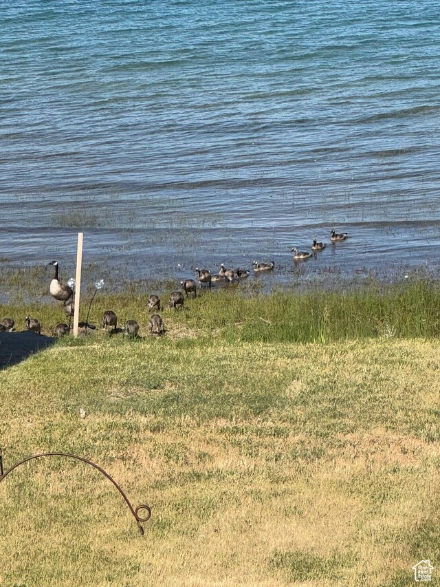1640 S Bear Lake Blvd, Garden City, UT 84028 - water view