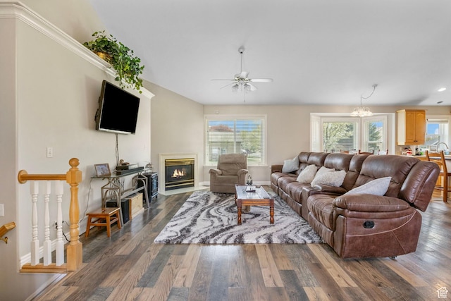 living area with ceiling fan with notable chandelier, baseboards, wood finished floors, and a fireplace with flush hearth