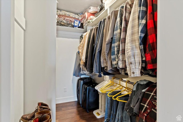 spacious closet featuring wood finished floors