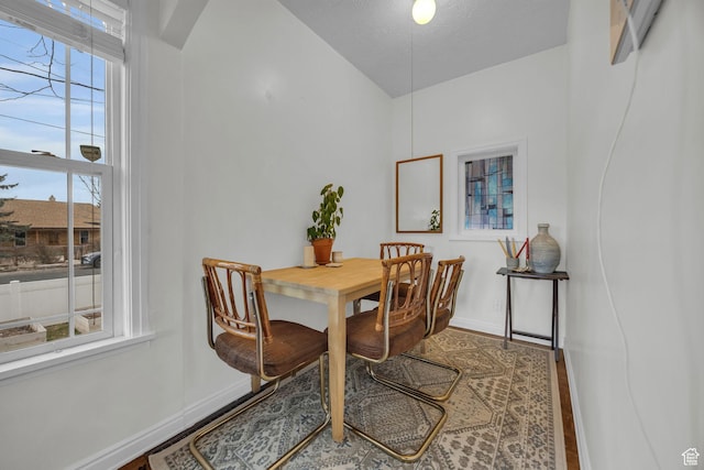 dining room with baseboards, wood finished floors, and a textured ceiling