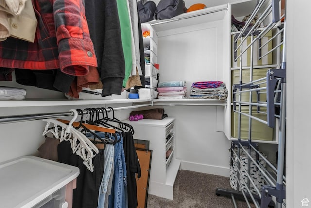11407 S Oswego Ln, South Jordan, UT 84009 - spacious closet featuring carpet flooring