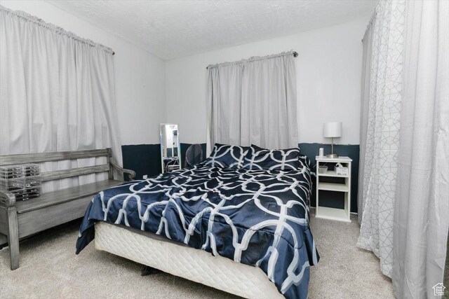 95 S 200 W, Lewiston, UT 84320 - bedroom featuring carpet floors and a textured ceiling