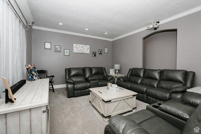 95 S 200 W, Lewiston, UT 84320 - living area with light carpet, recessed lighting, a textured ceiling, and crown molding