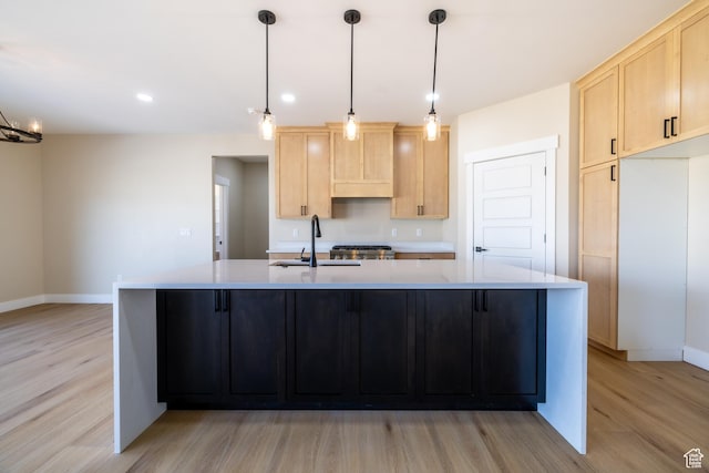 2899 E Lake Dr, Eagle Mountain, UT 84005 - kitchen with light wood-style flooring, a sink, light brown cabinets, and light countertops