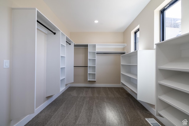 2899 E Lake Dr, Eagle Mountain, UT 84005 - spacious closet with dark colored carpet and visible vents