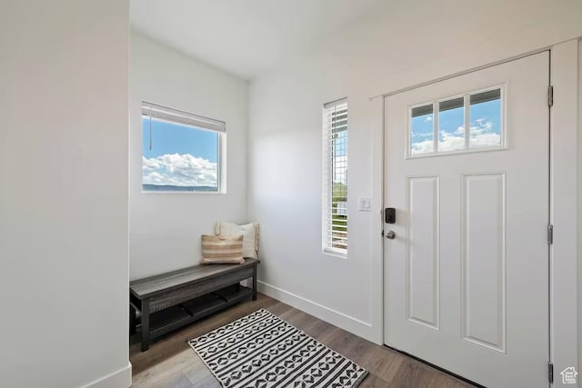 2250 S Beachcomber Ln, Garden City, UT 84028 - foyer entrance featuring baseboards, wood finished floors, and a healthy amount of sunlight