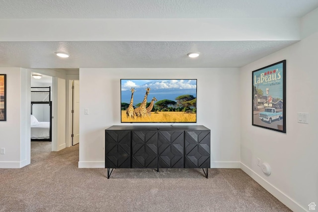 2250 S Beachcomber Ln, Garden City, UT 84028 - spare room featuring carpet floors and baseboards