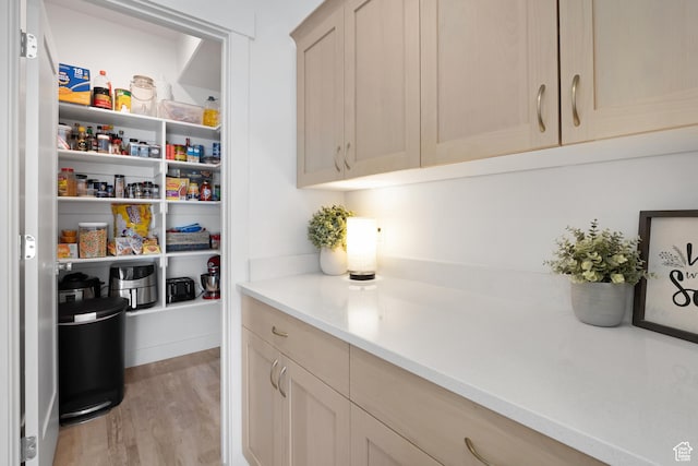 view of pantry
