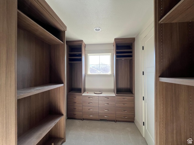177 E 475 S, Mantua, UT 84324 - spacious closet with light colored carpet