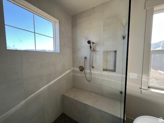177 E 475 S, Mantua, UT 84324 - bathroom with a tile shower