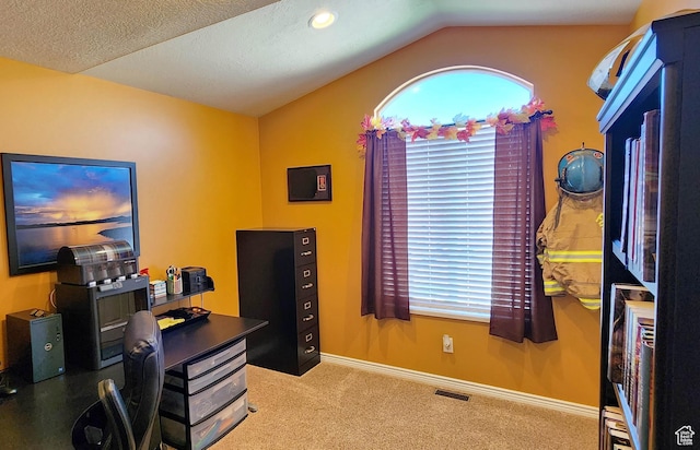 6723 W Hunter Farm Cir S, West Valley City, UT 84128 - office area with lofted ceiling, carpet floors, and baseboards