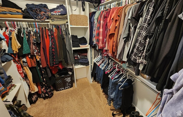6723 W Hunter Farm Cir S, West Valley City, UT 84128 - spacious closet with carpet