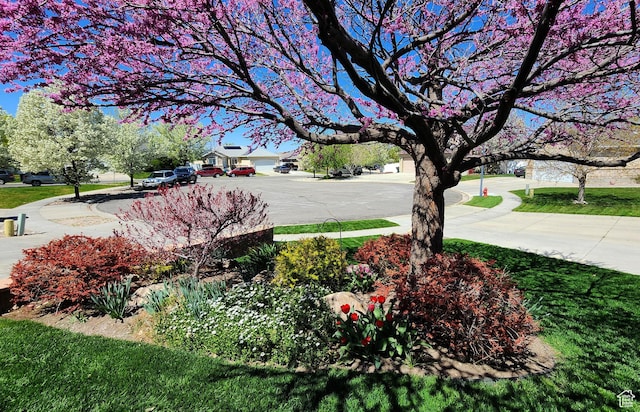 6723 W Hunter Farm Cir S, West Valley City, UT 84128 - view of yard