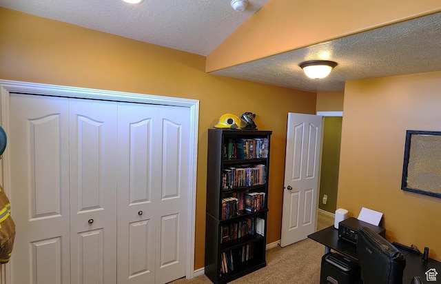 6723 W Hunter Farm Cir S, West Valley City, UT 84128 - office space featuring light colored carpet, a textured ceiling, and baseboards