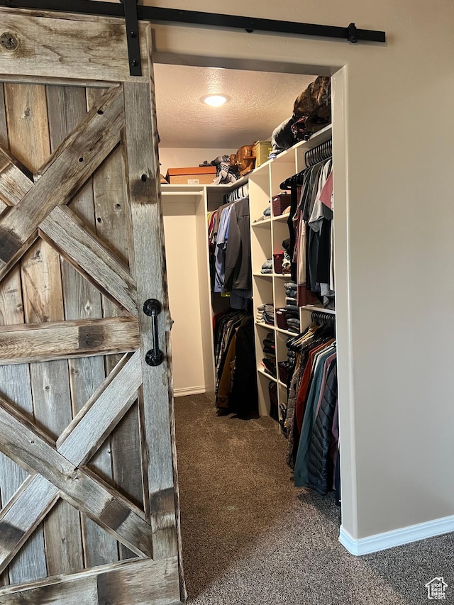 247 N 300 E, Fairview, UT 84629 - walk in closet with a barn door and carpet