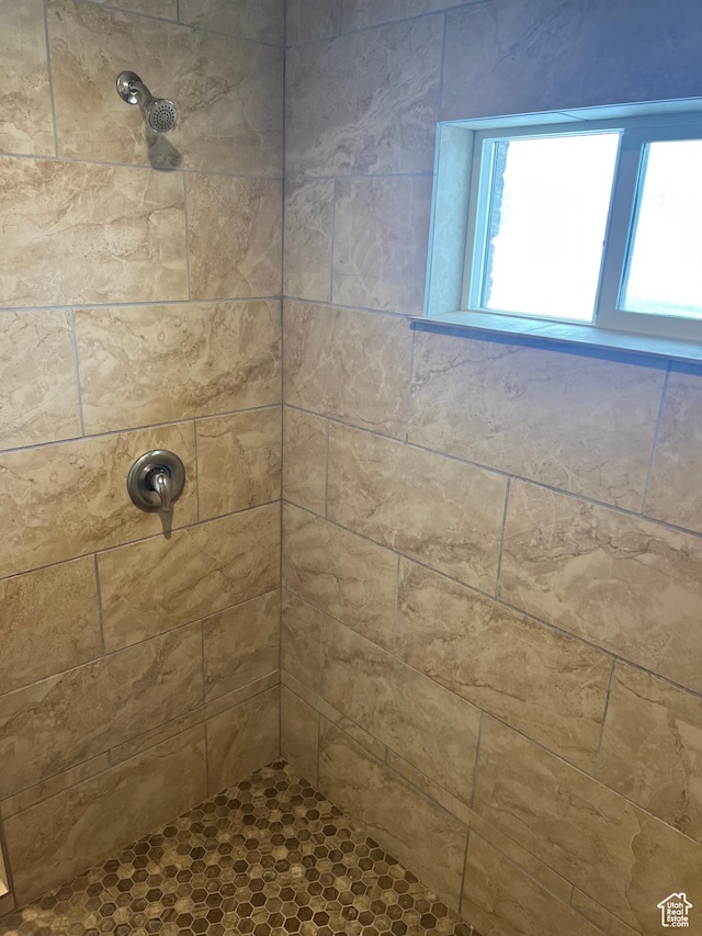247 N 300 E, Fairview, UT 84629 - full bathroom with a tile shower
