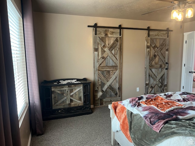 247 N 300 E, Fairview, UT 84629 - bedroom with multiple windows, a ceiling fan, carpet flooring, and a barn door