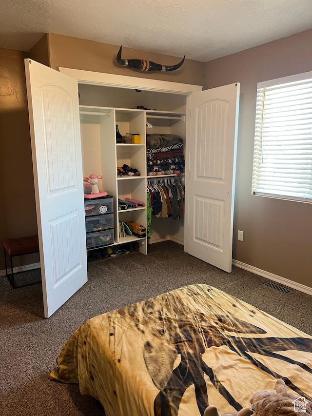 247 N 300 E, Fairview, UT 84629 - carpeted bedroom featuring a closet, visible vents, and baseboards