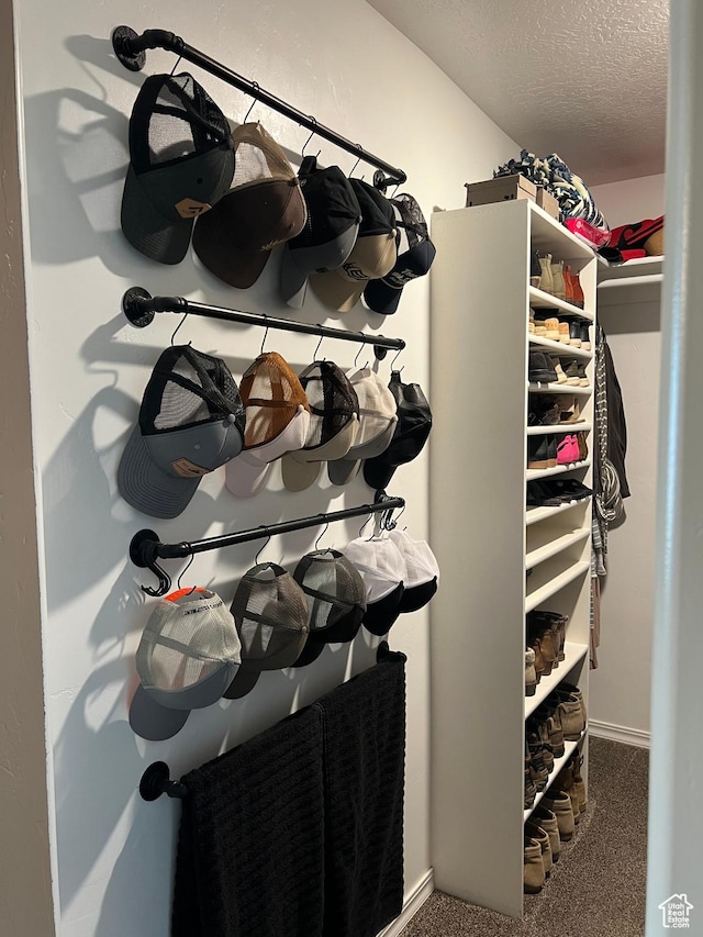 247 N 300 E, Fairview, UT 84629 - spacious closet with carpet flooring