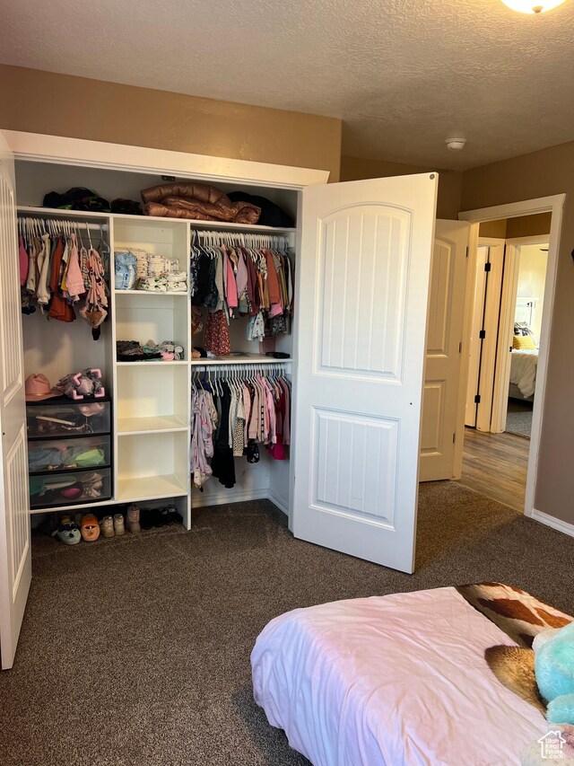 247 N 300 E, Fairview, UT 84629 - carpeted bedroom featuring a textured ceiling and a closet