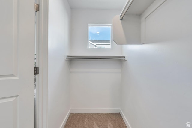 walk in closet featuring carpet flooring