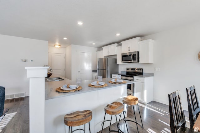 kitchen featuring baseboards, a sink, appliances with stainless steel finishes, and dark wood-style flooring