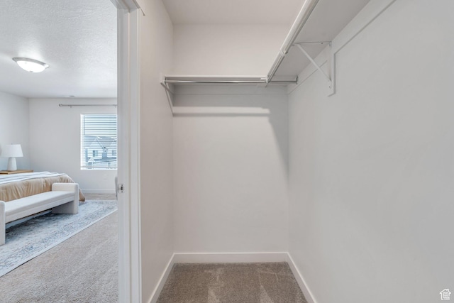 walk in closet with carpet floors