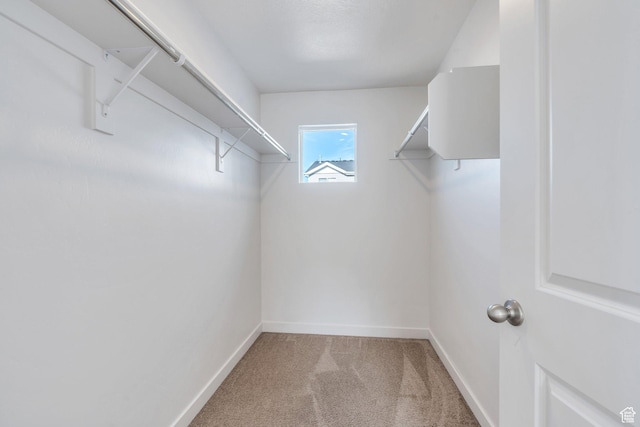 walk in closet with light carpet