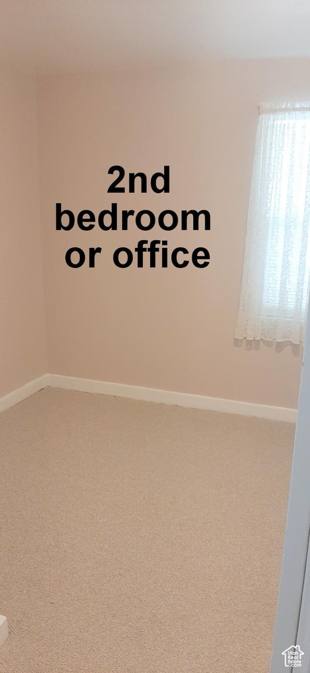 338 E 100 N, Moab, UT 84532 - room details featuring carpet
