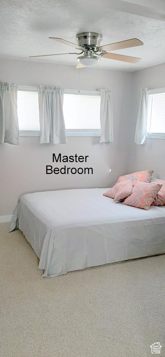 338 E 100 N, Moab, UT 84532 - carpeted bedroom featuring a ceiling fan, a textured ceiling, and multiple windows