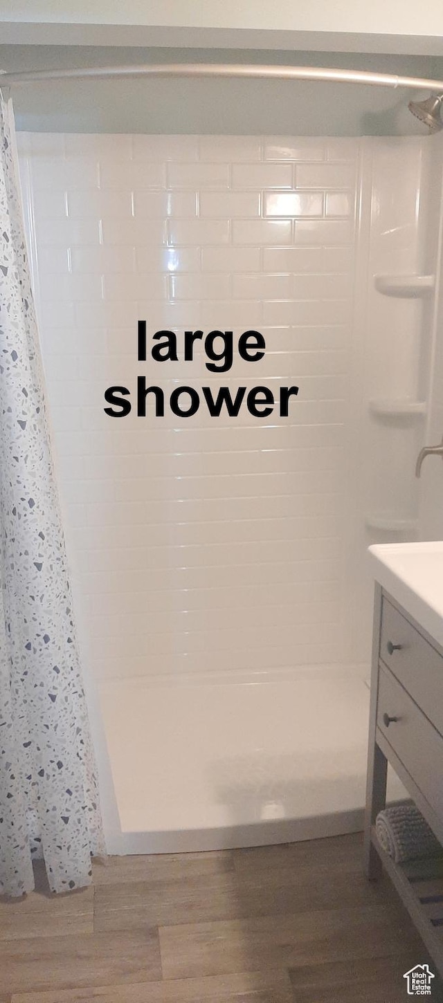 338 E 100 N, Moab, UT 84532 - full bathroom featuring vanity, wood finished floors, and a shower stall