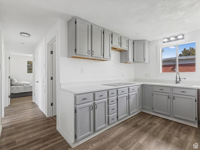 kitchen featuring dark wood-style flooring, gray cabinets, black electric stovetop, and a sink