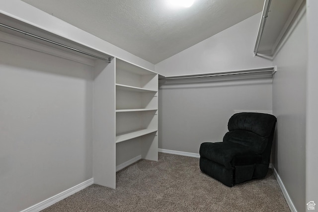 spacious closet with lofted ceiling and carpet flooring