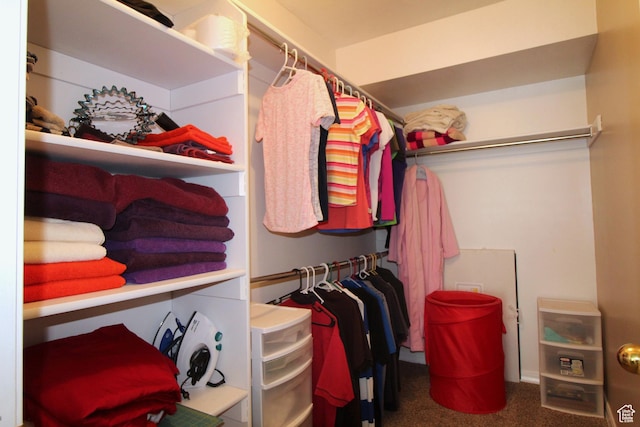 spacious closet featuring carpet flooring