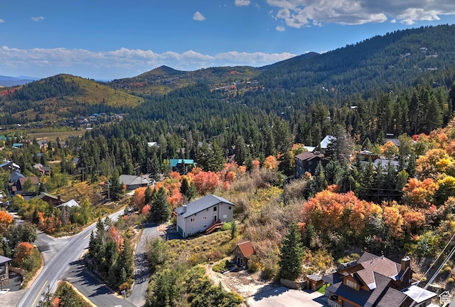 bird's eye view with a mountain view and a wooded view