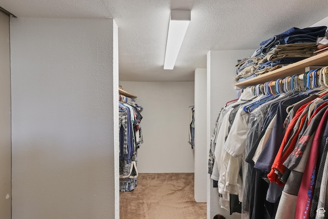 spacious closet with carpet floors