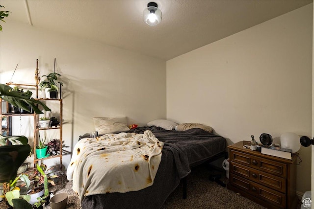 781 N 950 W, Orem, UT 84057 - view of carpeted bedroom