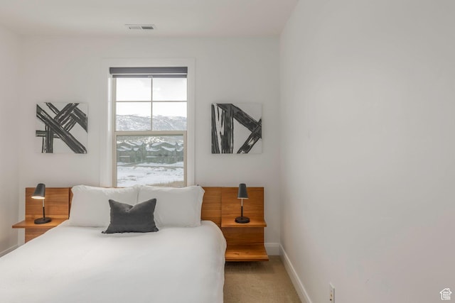 1052 W Cattail Ct Unit E1, Kamas, UT 84036 - bedroom with light carpet, baseboards, and visible vents